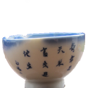 chinese rice bowl