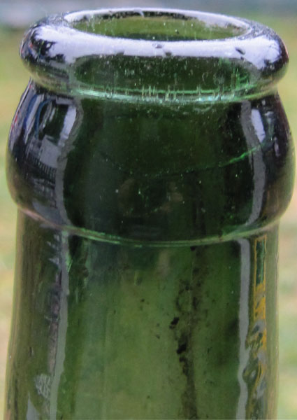 chinese beer bottle